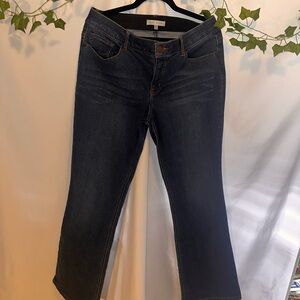 City blues Indigo Flare Jeans